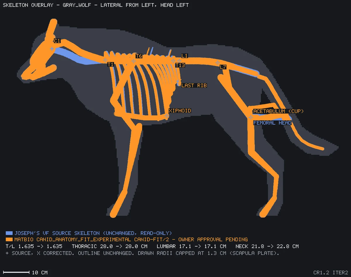 Canid skeleton correction overlay